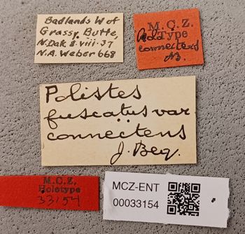 Media type: image;   Entomology 33154 Aspect: labels